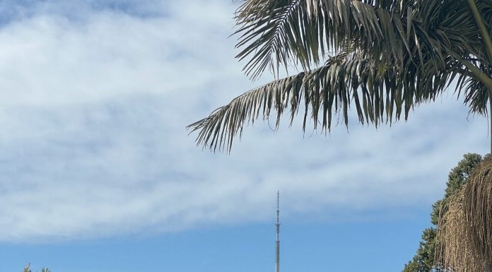 Auckland City Guide 