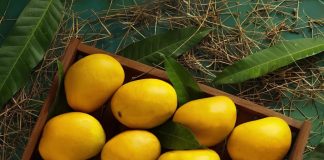 Découvrez la joie de la saison de mangue à travers l'Inde en 2025
