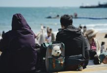 Le Brexit a compliqué les voyages avec un animal de compagnie entre le Royaume-Uni et l'UE, mais de nouvelles règles pourraient changer cela
