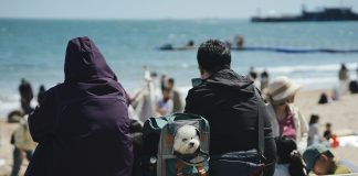 Le Brexit a compliqué les voyages avec un animal de compagnie entre le Royaume-Uni et l'UE, mais de nouvelles règles pourraient changer cela
