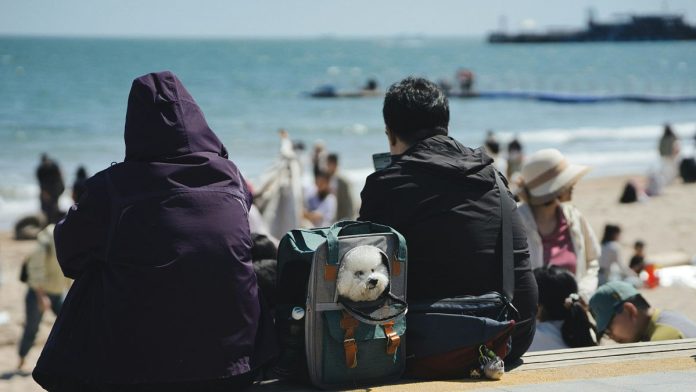 Le Brexit a compliqué les voyages avec un animal de compagnie entre le Royaume-Uni et l'UE, mais de nouvelles règles pourraient changer cela
