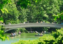 Les villes les plus heureuses des États-Unis en 2025, classées

