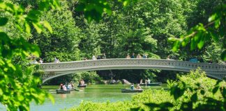 Les villes les plus heureuses des États-Unis en 2025, classées
