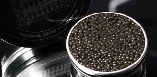 À plus de 10 000 $ par kilogramme, le premier caviar d'Afrique surprend l'industrie alimentaire de luxe
