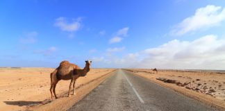 Puis-je voyager au Maroc depuis les États-Unis maintenant
