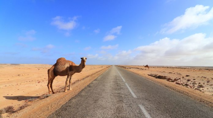 Puis-je voyager au Maroc depuis les États-Unis maintenant
