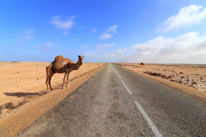 Puis-je voyager au Maroc depuis les États-Unis maintenant
