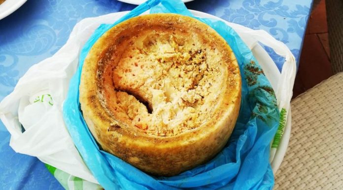Casu Marzu: le fromage le plus dangereux du monde
