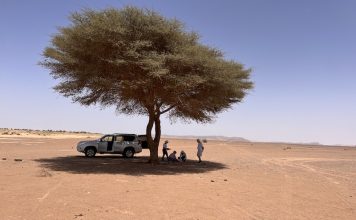 Circuit de 8 jours d'aventure dans le désert