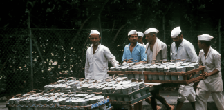 In many ways, the Mumbai dabbawala is a metaphor for the city itself: relentless, ingenious, imperfectly perfect. 