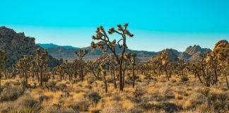 Pouvez-vous visiter les parcs nationaux pendant la fermeture de 2025 ?
