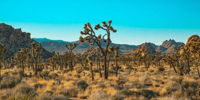 Pouvez-vous visiter les parcs nationaux pendant la fermeture de 2025 Pouvez-vous visiter les parcs nationaux pendant la fermeture de 2025 ?