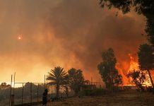 Incendies de forêt : la Grèce identifie les zones à haut risque grâce à une nouvelle carte riche en données
