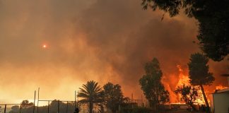 Incendies de forêt : la Grèce identifie les zones à haut risque grâce à une nouvelle carte riche en données
