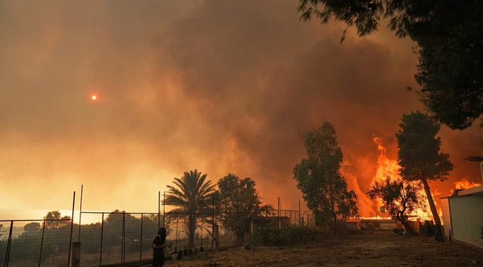 Incendies de forêt : la Grèce identifie les zones à haut risque grâce à une nouvelle carte riche en données
