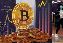 La possession de cryptomonnaies est en hausse en Europe : qui investit le plus ? La possession de cryptomonnaies est en hausse en Europe : qui investit le plus ?