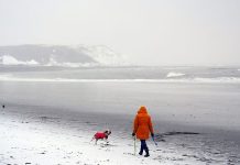 Ferries, aéroports et trains : le chaos des voyages se profile alors que le Royaume-Uni et la France se préparent à la tempête Goretti Ferries, aéroports et trains : le chaos des voyages se profile alors que le Royaume-Uni et la France se préparent à la tempête Goretti