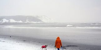 Ferries, aéroports et trains : le chaos des voyages se profile alors que le Royaume-Uni et la France se préparent à la tempête Goretti
