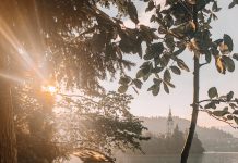 Lake Bled Things to Do 