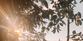 Lake Bled Things to Do 