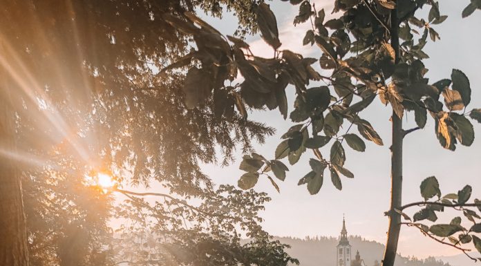 10 choses à faire au lac de Bled Lake Bled Things to Do