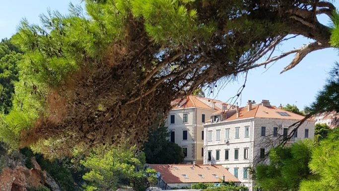 10 meilleurs endroits à visiter en Croatie 10 meilleurs endroits à visiter en Croatie