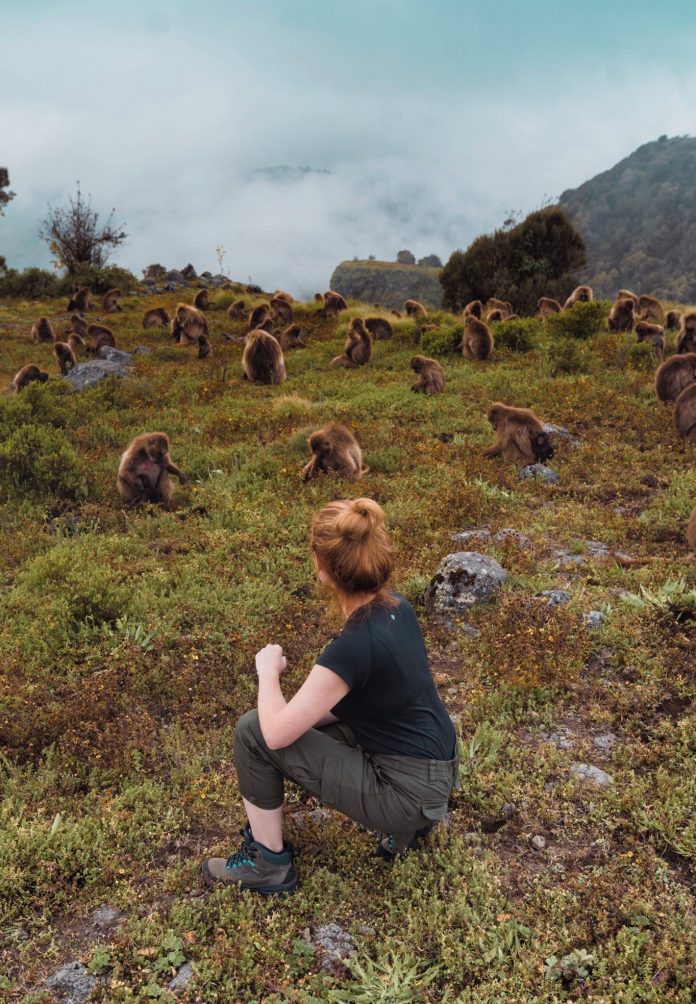 Simien Mountains guide 