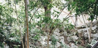 Le guide complet de Tulum, Mexique
