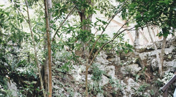 Le guide complet de Tulum, Mexique
