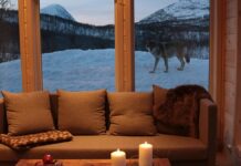 Abandonner l'hôtel pour un zoo ? Meilleures destinations européennes pour une nuit endiablée
