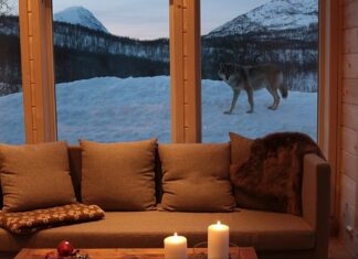 Abandonner l'hôtel pour un zoo ? Meilleures destinations européennes pour une nuit endiablée
