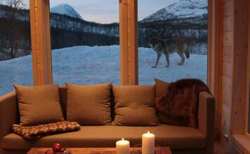 Abandonner l'hôtel pour un zoo ? Meilleures destinations européennes pour une nuit endiablée
