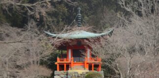 Ce qu'il faut savoir avant de visiter le Japon
