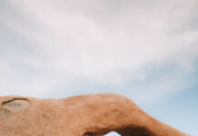 Le guide complet du week-end sur Joshua Tree Le guide complet du week-end sur Joshua Tree