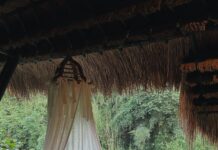 Four Seasons Golden Triangle