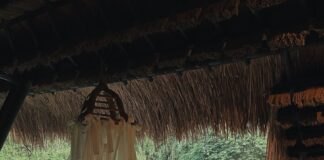 Four Seasons Golden Triangle