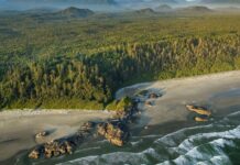 Vous pouvez visiter gratuitement les parcs nationaux du Canada cet été
