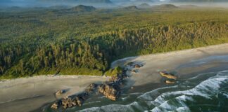 Vous pouvez visiter gratuitement les parcs nationaux du Canada cet été
